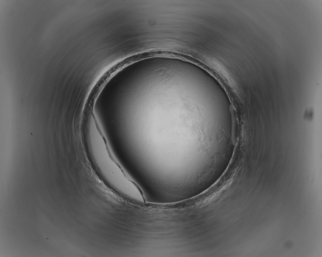 X0000091590924200708201226