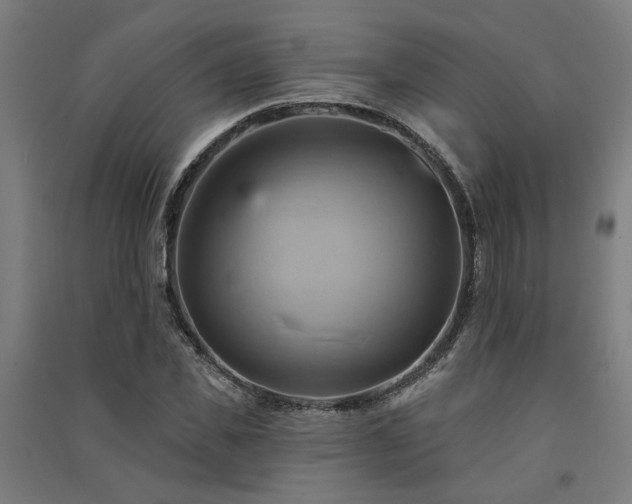 X0000091590925200708201226