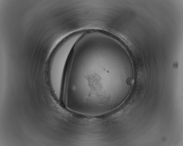 X0000091590926200708201226