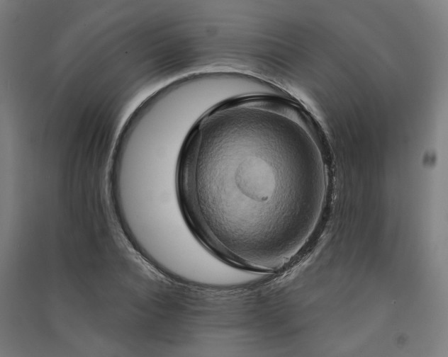 X0000091590928200708201227