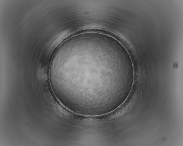 X0000091590929200708201227