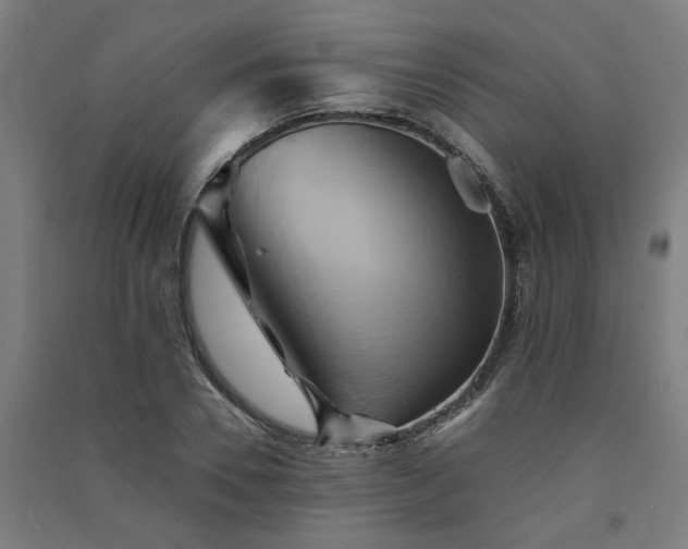X0000091590930200708201227