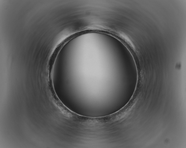X0000091590931200708201227