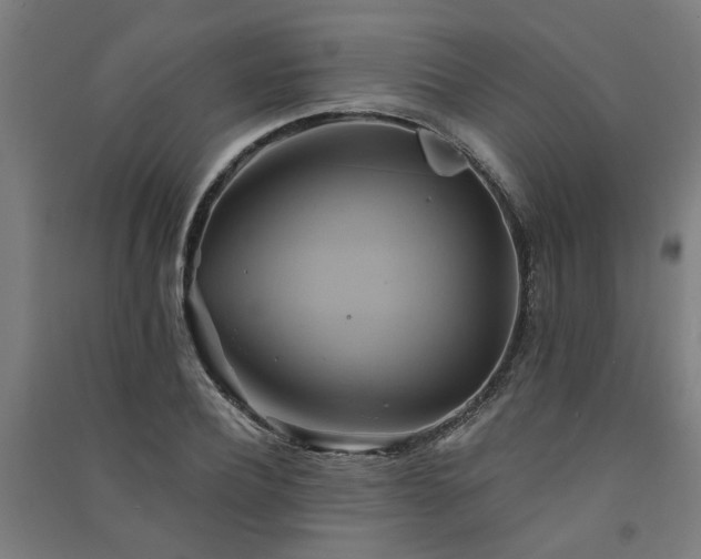 X0000091590932200708201227