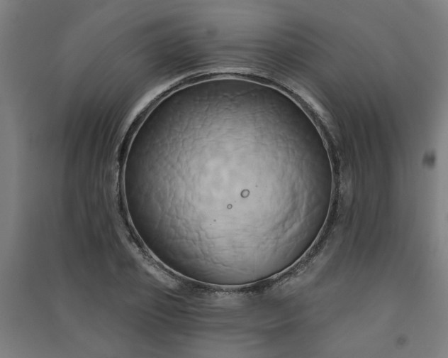 X0000091590933200708201227