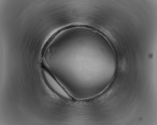X0000091590934200708201227