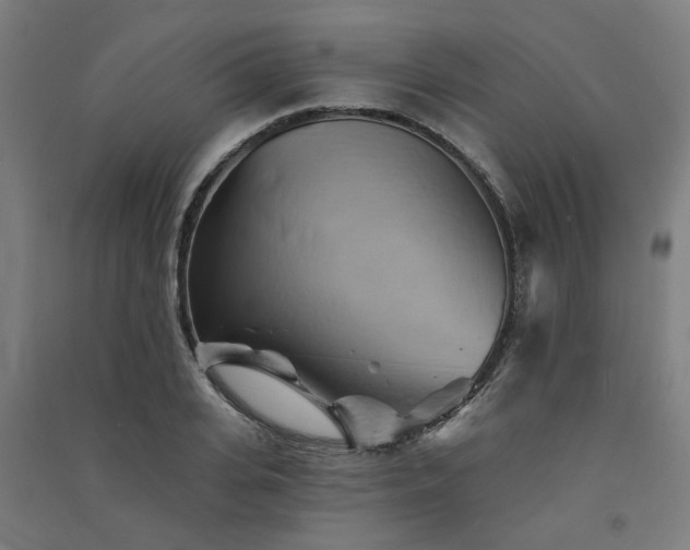 X0000091590935200708201227