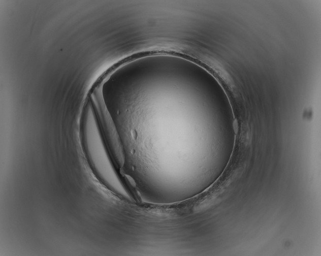 X0000091590936200708201227