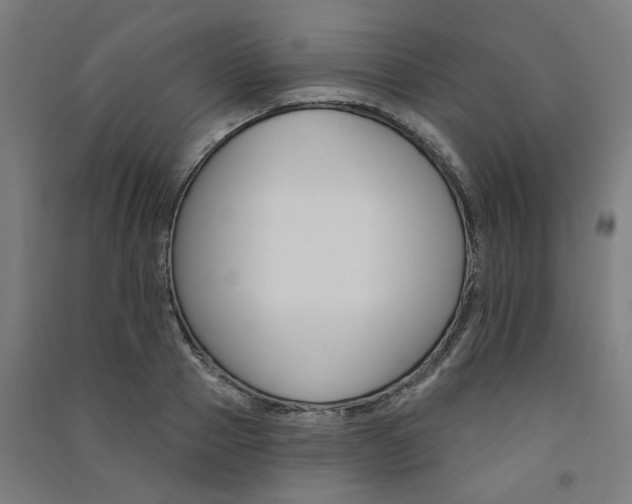 X0000091590937200708201227