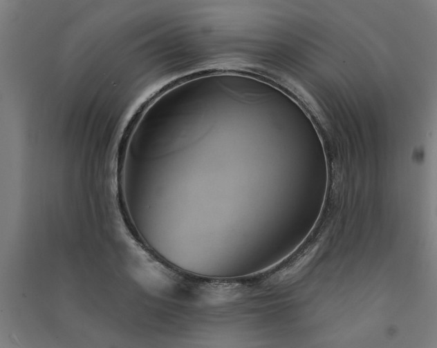 X0000091590939200708201227