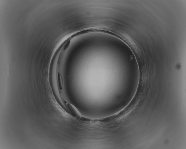 X0000091590940200708201227