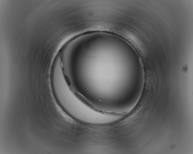 X0000091590942200708201227
