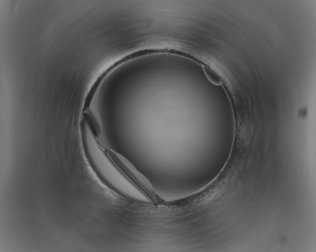 X0000091590943200708201227