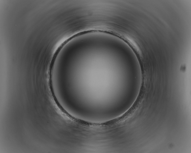 X0000091590944200708201227