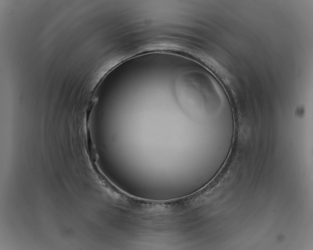 X0000091590945200708201227
