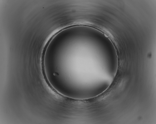 X0000091590947200708201227