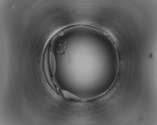 X0000091590948200708201227
