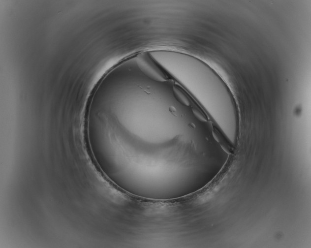 X0000091590949200708201227