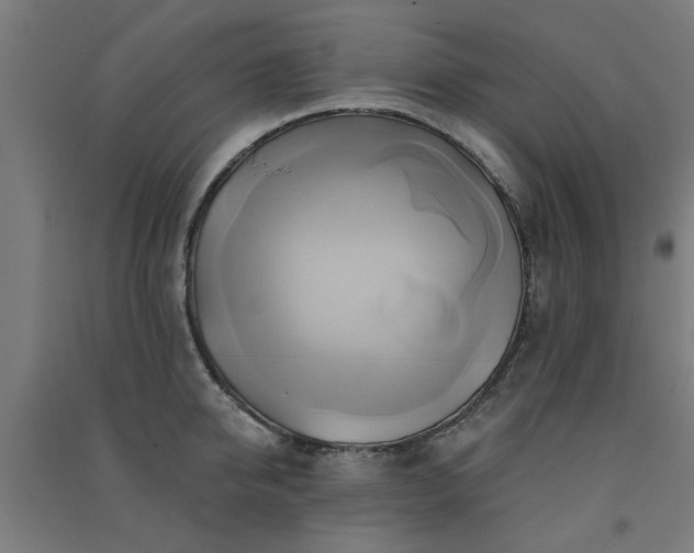 X0000091590950200708201227
