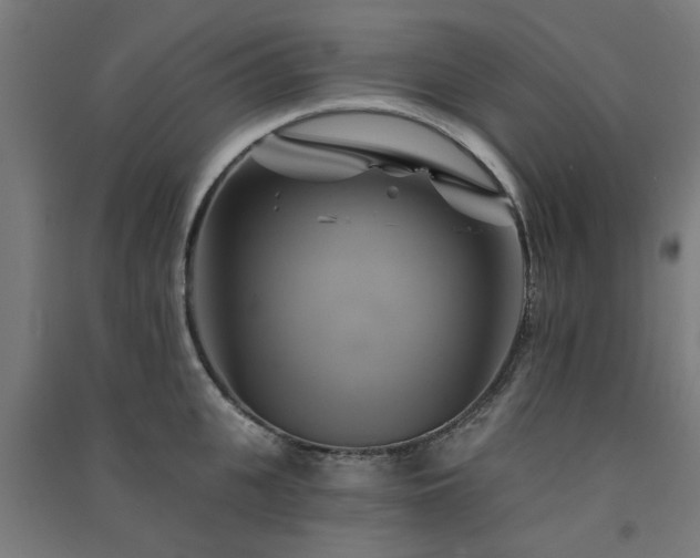 X0000091590951200708201227