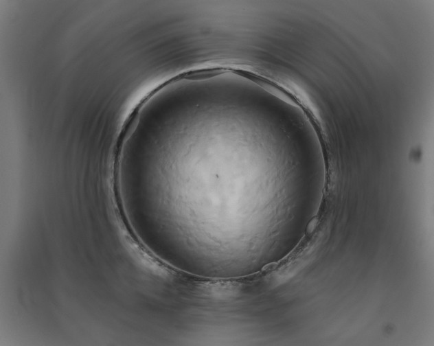 X0000091590952200708201227