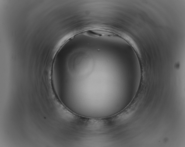 X0000091590954200708201227