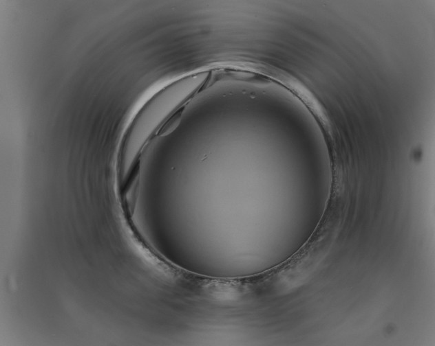 X0000091590955200708201227