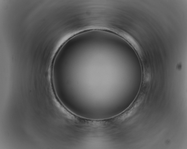 X0000091590958200708201227