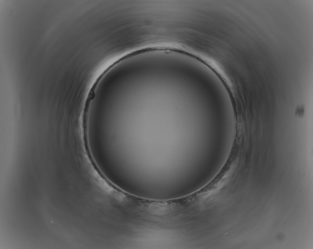 X0000091590959200708201227
