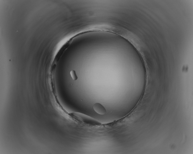 X0000091590960200708201227