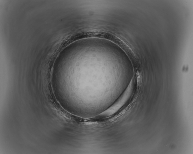 X0000091590961200708201226