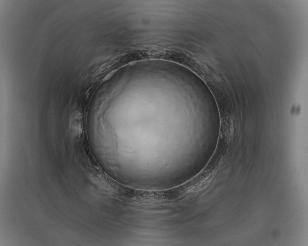 X0000091590962200708201226