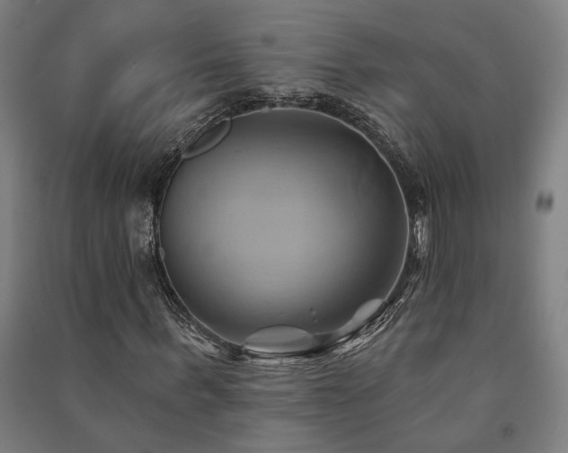 X0000091590963200708201226