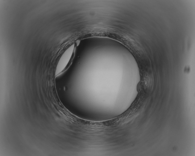 X0000091590964200708201226