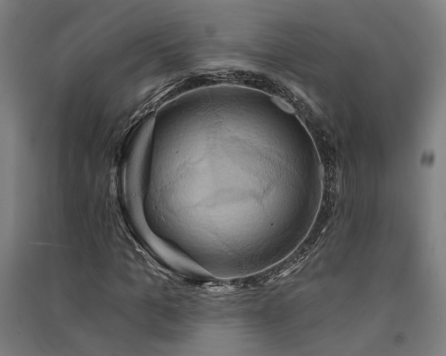 X0000091590965200708201226