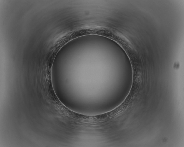 X0000091590966200708201226