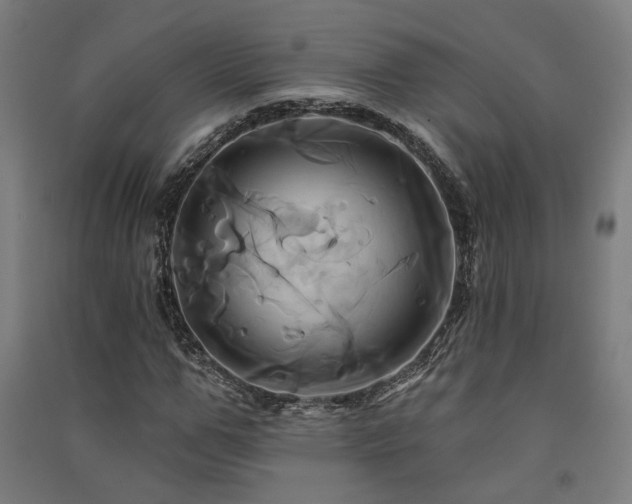 X0000091590967200708201226