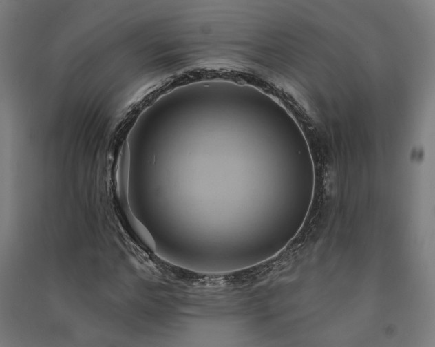 X0000091590968200708201226