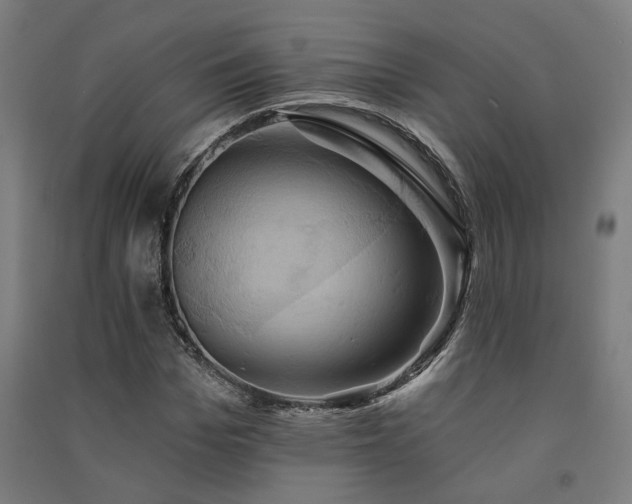 X0000091590969200708201226
