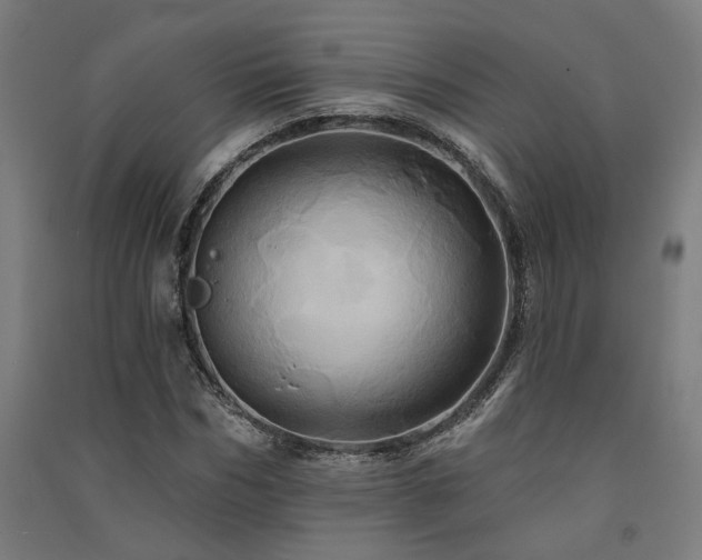 X0000091590970200708201226