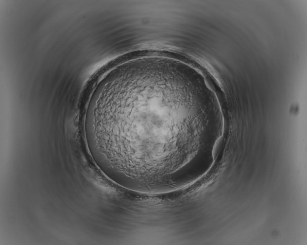 X0000091590971200708201226