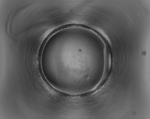 X0000091590972200708201226