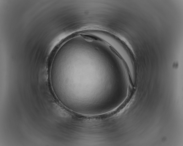 X0000091590973200708201226