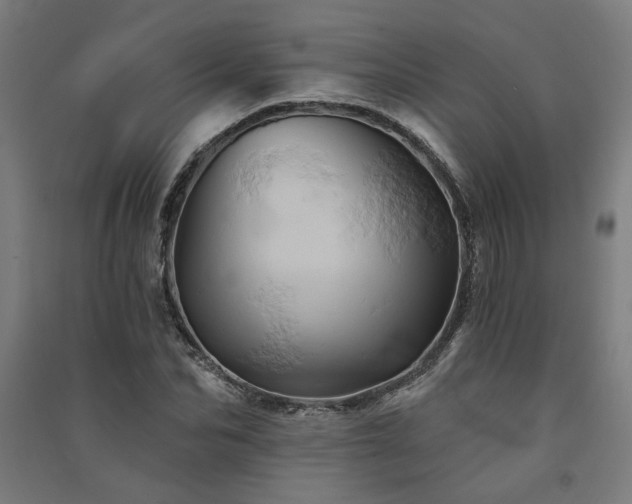 X0000091590974200708201226