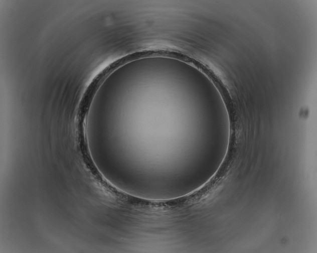 X0000091590975200708201226