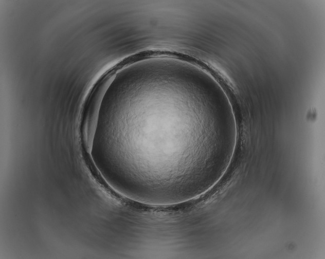 X0000091590976200708201226