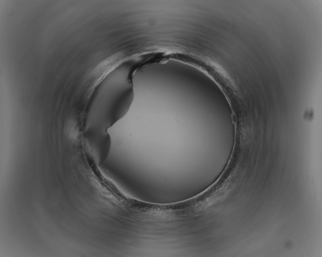 X0000091590977200708201226