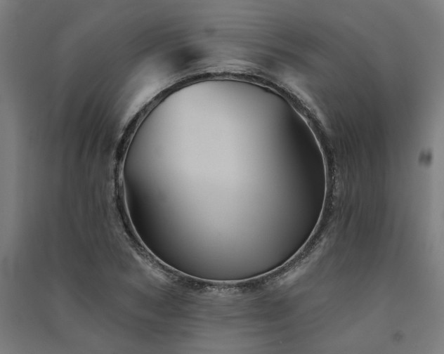 X0000091590978200708201226