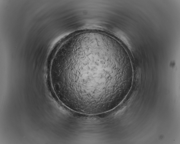 X0000091590979200708201226
