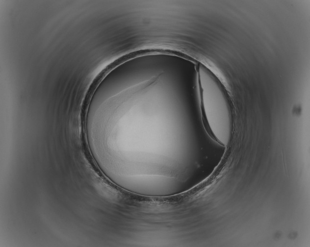 X0000091590980200708201226
